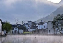 长沙高桥茶叶批发市场资讯大全
